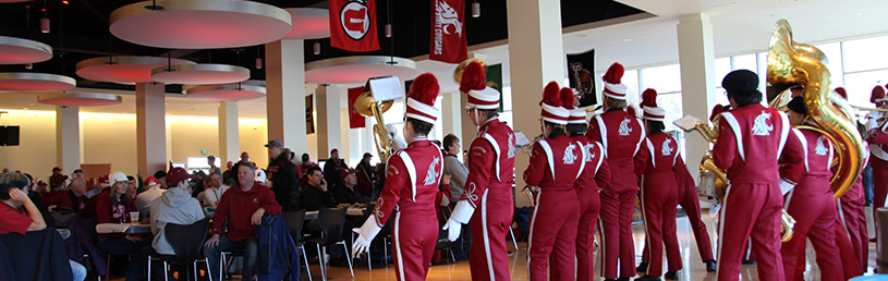 WSU Marching Band