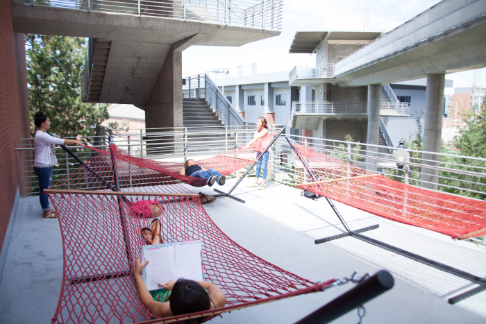 People laying in outdoor hammocks