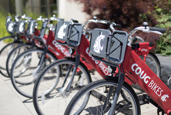 line of Coug bikes